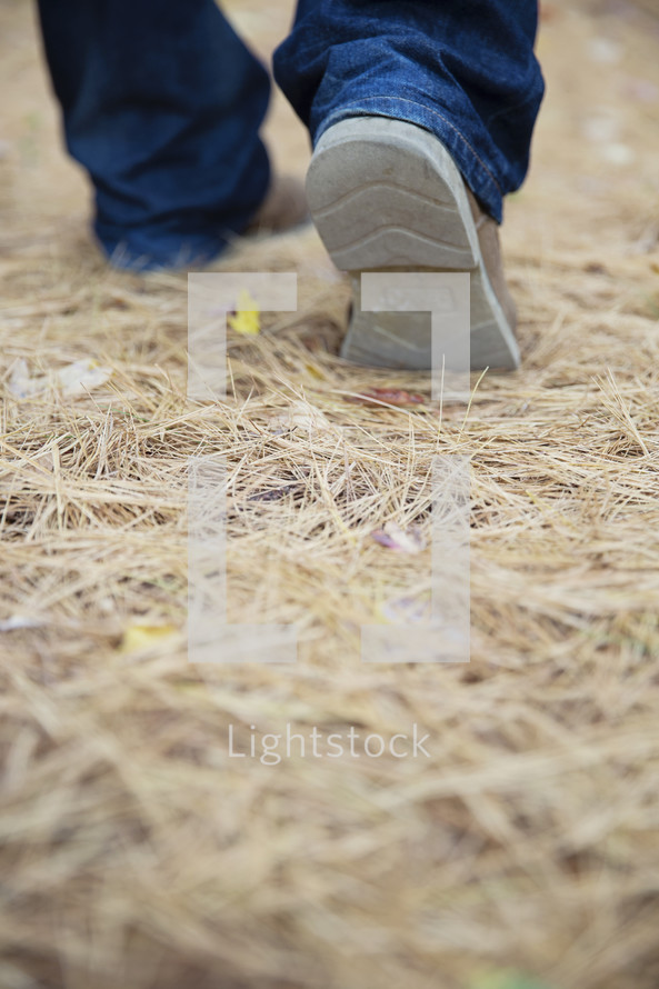 boot in straw