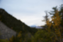 blurry image of trees and rocks on a mountainside 