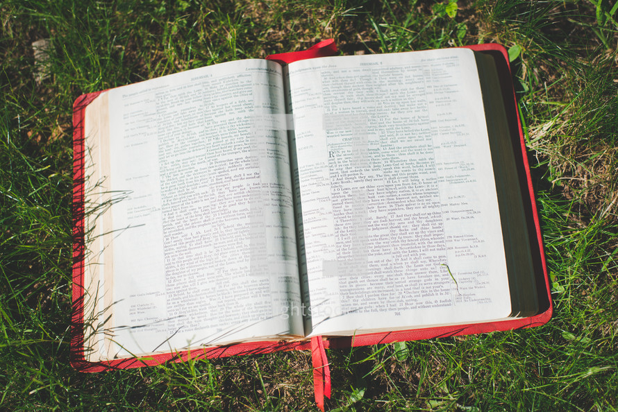 Bible in the grass 
