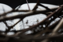 a crown of thorns over the pages of a Bible.