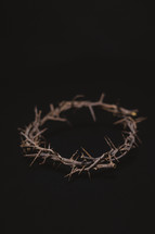 crown of thorns on black background