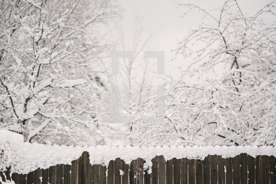snow on a fence 
