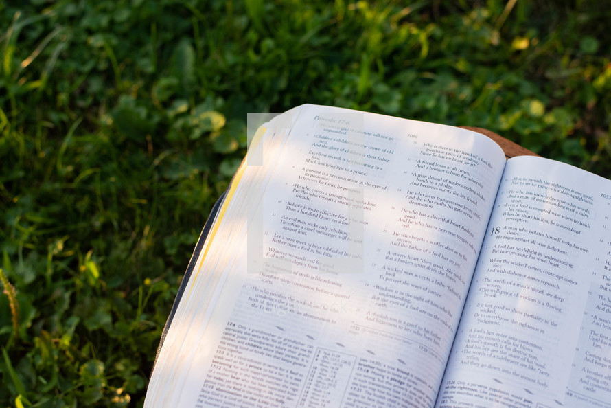 open Bible in the grass