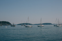 sailboats on the water 