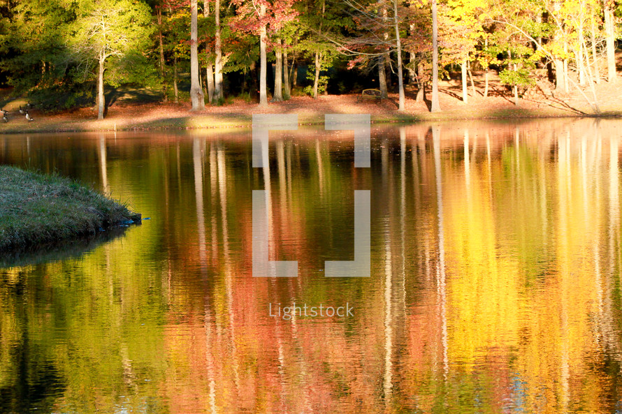 reflection of autumn trees on lake water 