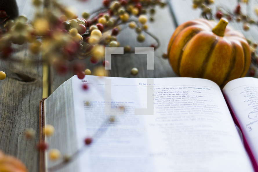 fall decorations, berries and pumpkins, and an open Bible 