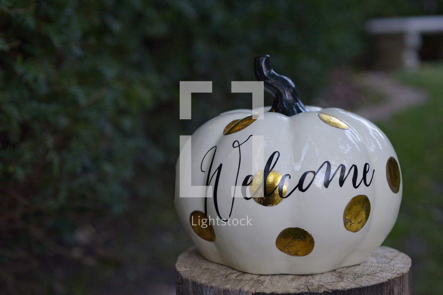 welcome on a spotted pumpkin 