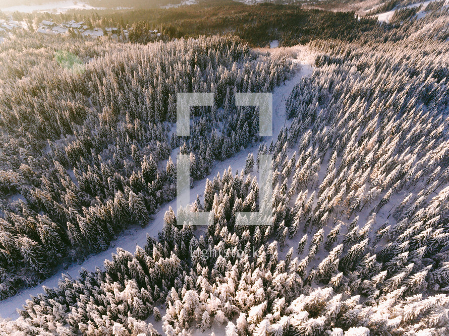 aerial view over a snowy forest 