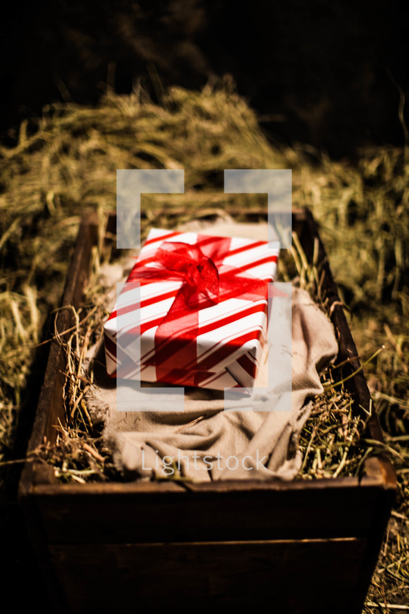 wrapped present on swaddling cloth in a manger