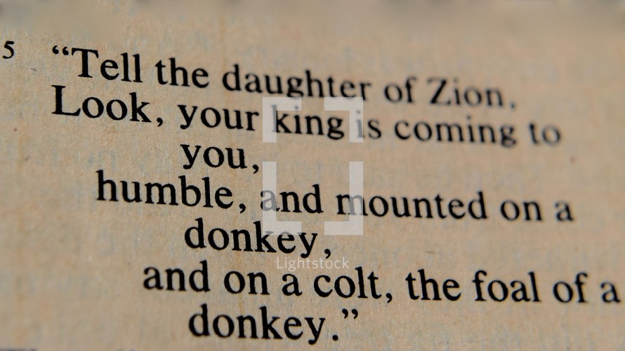 "Tell the daughter of Zion, Look, your king is coming to you, humble, and mounted on a donkey, and on a colt, the foal of a donkey."