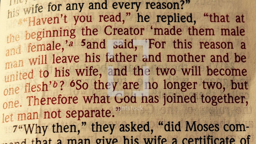 "Haven't you read," he replied, that at the beginning the Creator, made them male and female, and said, For this reason a man will leave his father and mother and be united to his wife, and the two will become one flesh? So they are no longer two, but one, Therefore what For has joined together let man not separate. Matthew 19: 4-7