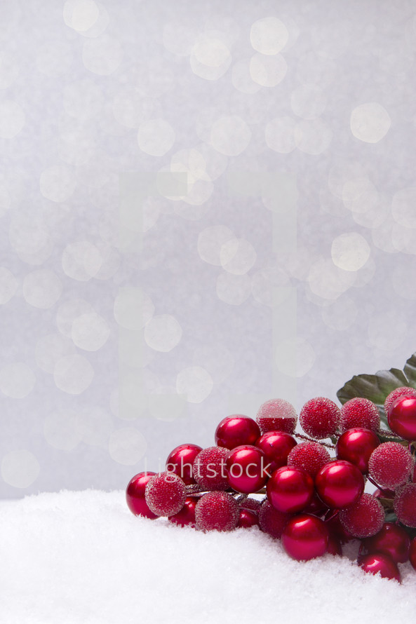 red berries in snow 