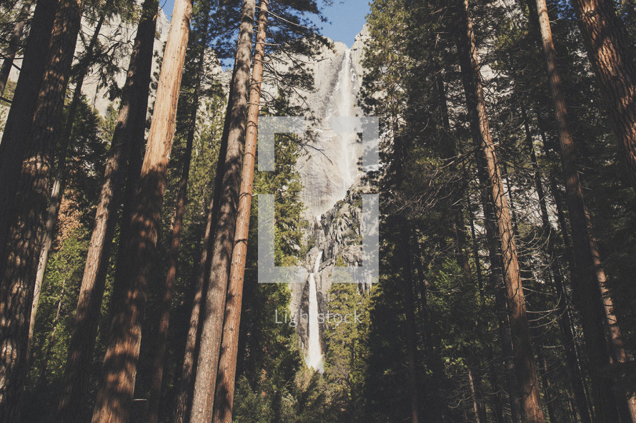 waterfall off the side of a cliff and trees in a forest 