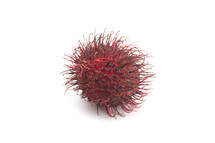 A Fresh Red Rambutan Isolated on a White Background