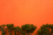 bushes against an orange background 