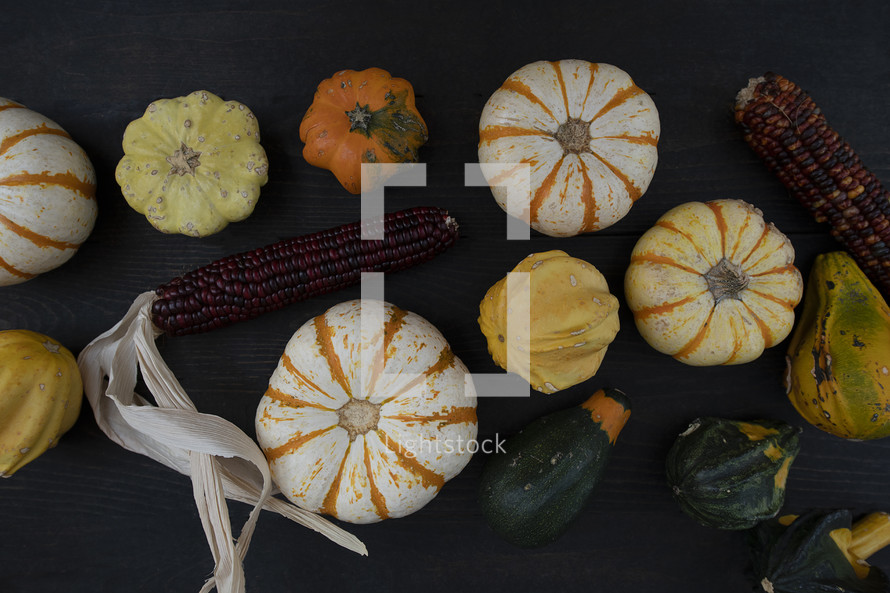 pumpkins and gourds on a black wood background 