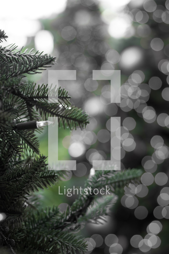  lights on a Christmas tree 