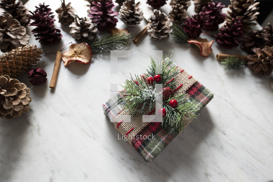 pine cones and dried fruit and wrapped gift at Christmas 