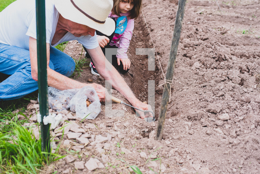 grandfather and granddaughter gardening 