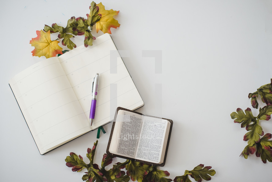 a pen on a planner and open Bible 