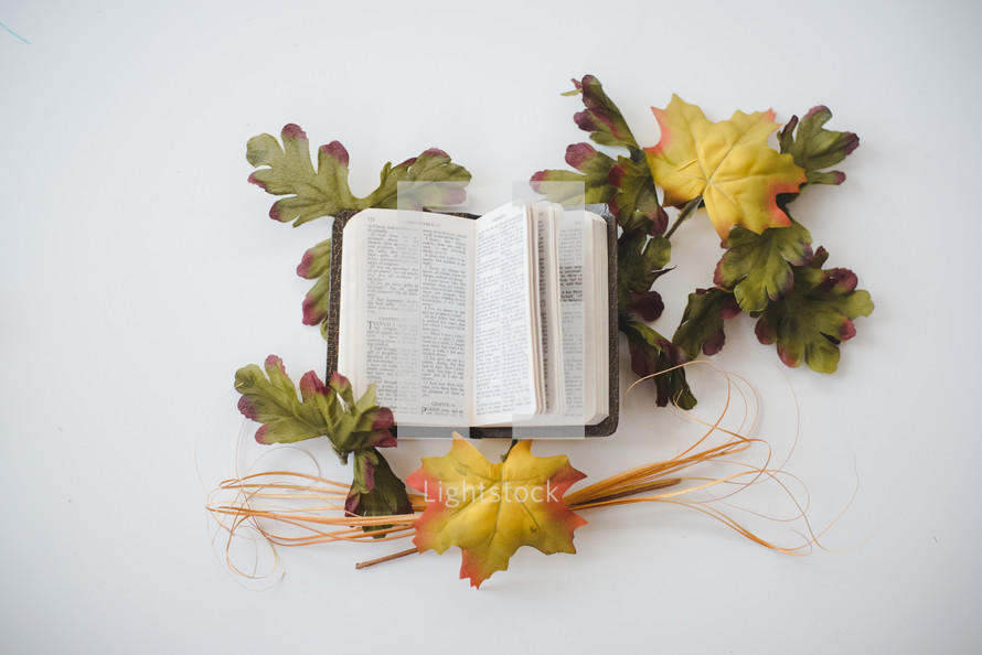 open Bible and fall leaves 
