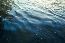 ripples in lake water 