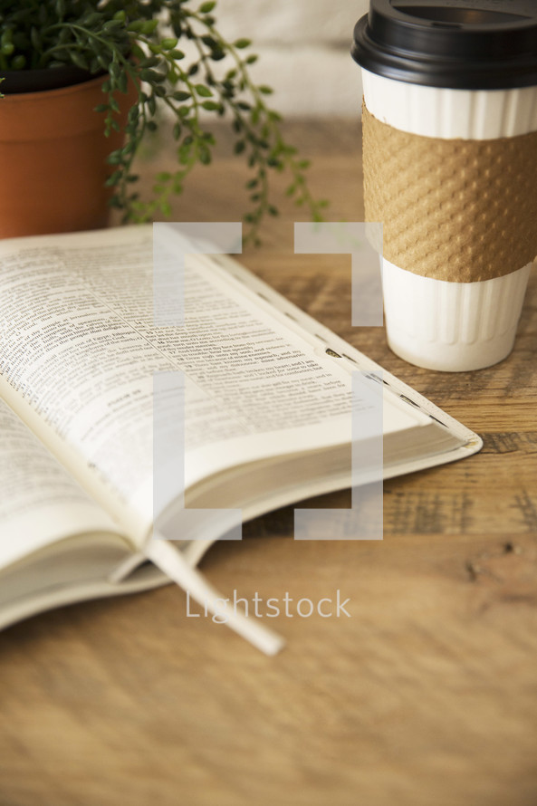 house plant, open Bible, and coffee cup 