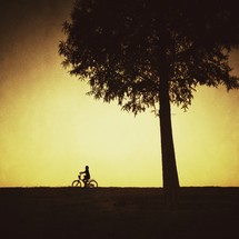 silhouette of a child riding a bicycle under a tree