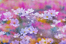 pastel colors and white flowers 