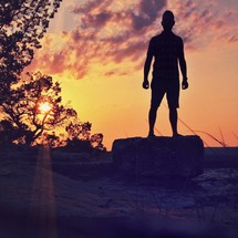 Silhouette of man standing on rock the sand in a tree-lined field at sunset.