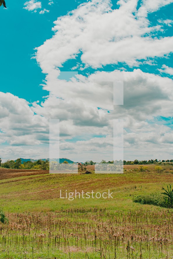 green rural landscape 