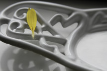 yellow petal on white wrought iron