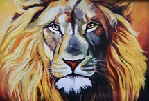 Painting of Male Lion 