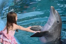 a little girl dancing with a dolphin 