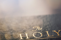 gold lettering on cover of Holy Bible 