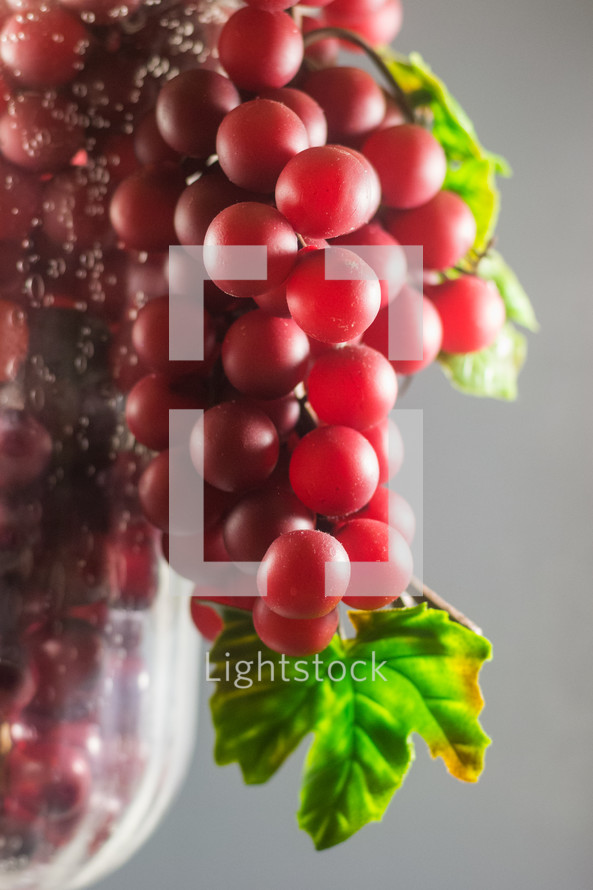grapes in a vase 