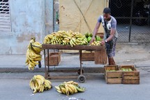 a man selling bananas 