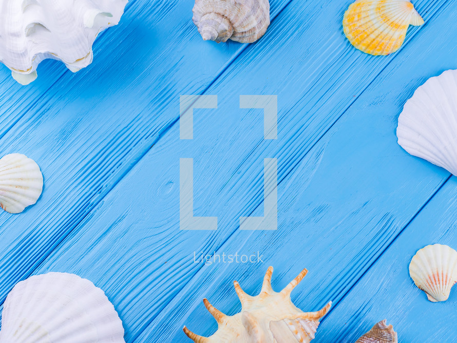 Various kinds of sea shells frame on blue vintage shabby wood table. Summertime sea vacation background with starfish and rapana