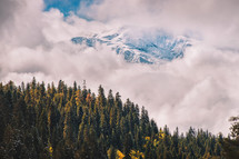Autumn forest and snowy peaks