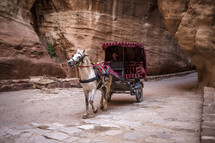 horse drawn carriage in Jerusalem 