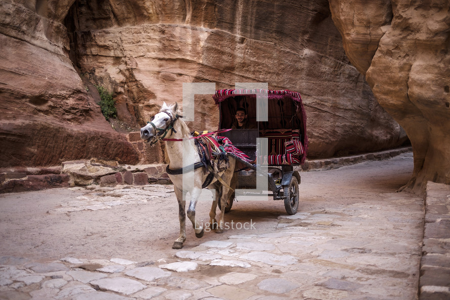 horse drawn carriage in Jerusalem 