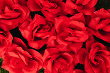 Bed Of Red Roses 