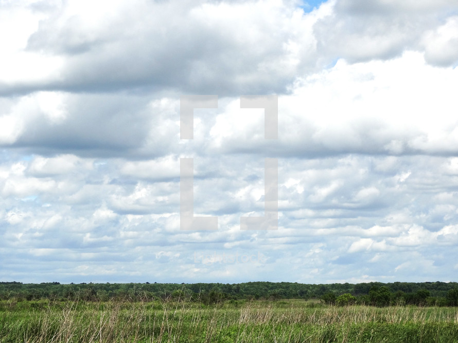 Gray and white clouds over forest on overcast summer day