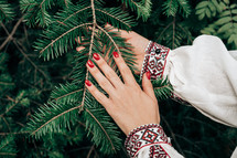 Woman's hand in embroidered ukrainian dress stroking, touching a spruce branch in green forest. High quality photo