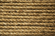 Strands of rope.