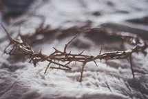 crown of thorns on gray cloth 