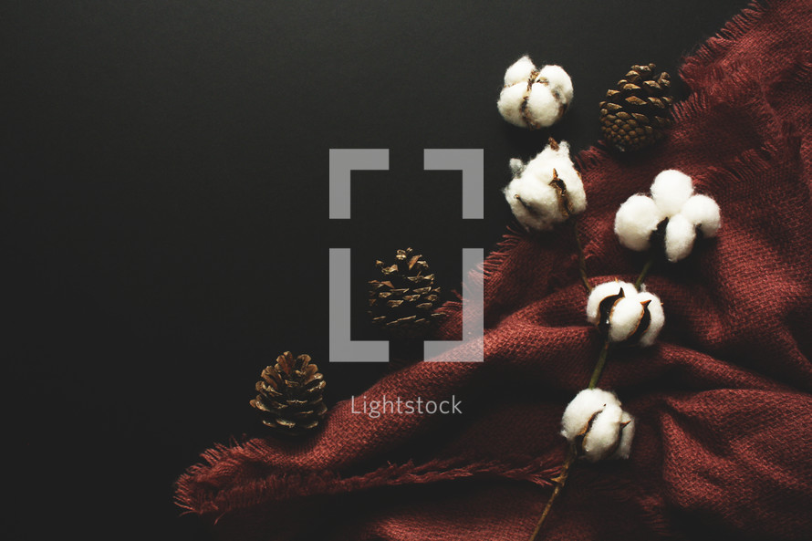 cotton branches, pine cones, and blanket 