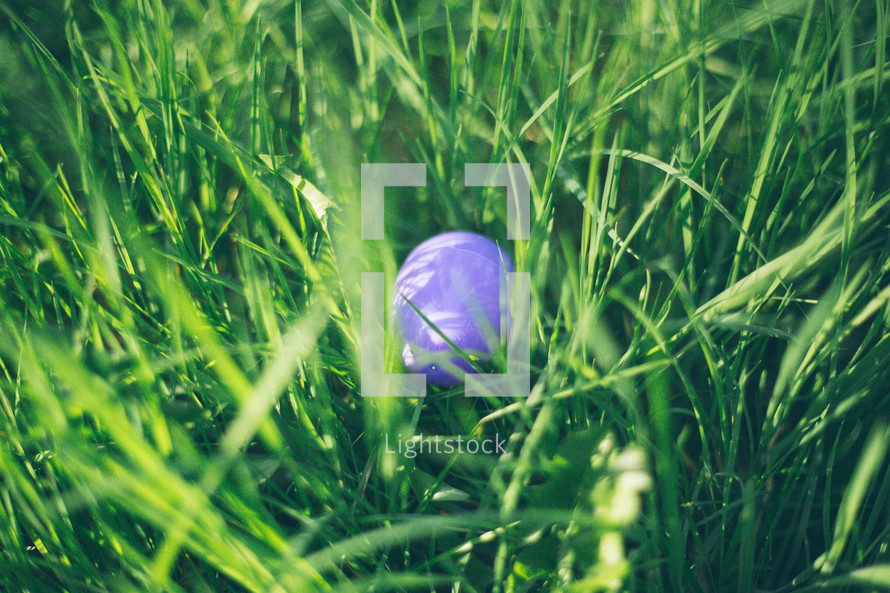 Easter egg in the grass.
