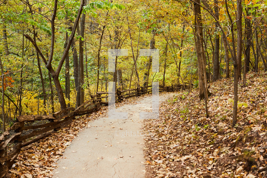 path in fall 