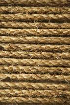 Strands of rope.